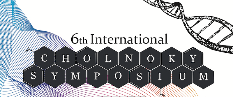 Sudjelovanje na međunarodnom simpoziju 6th Cholnoky Symposium u Pečuhu